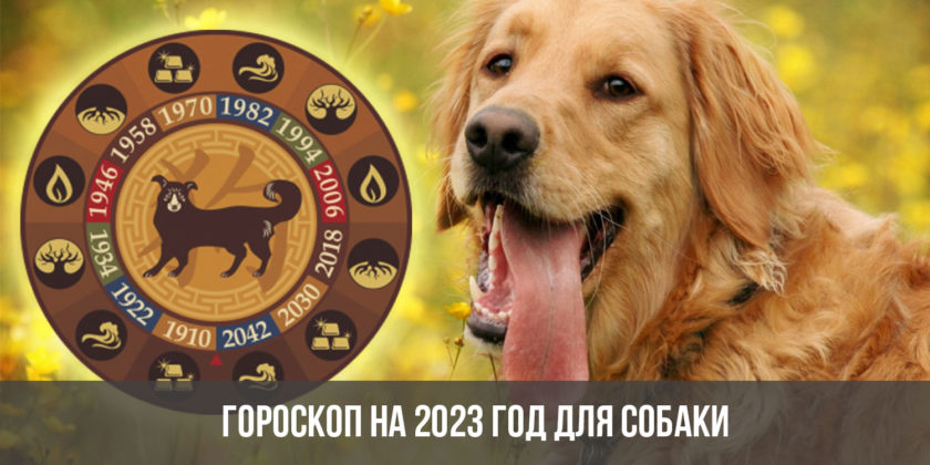 Гороскоп на 2023 год для Собаки