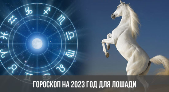 Гороскоп на 2023 год для Лошади