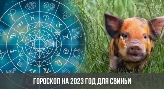 Гороскоп на 2023 год для Свиньи