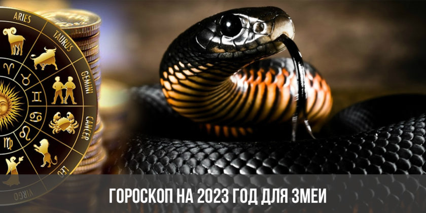 Гороскоп на 2023 год для Змеи