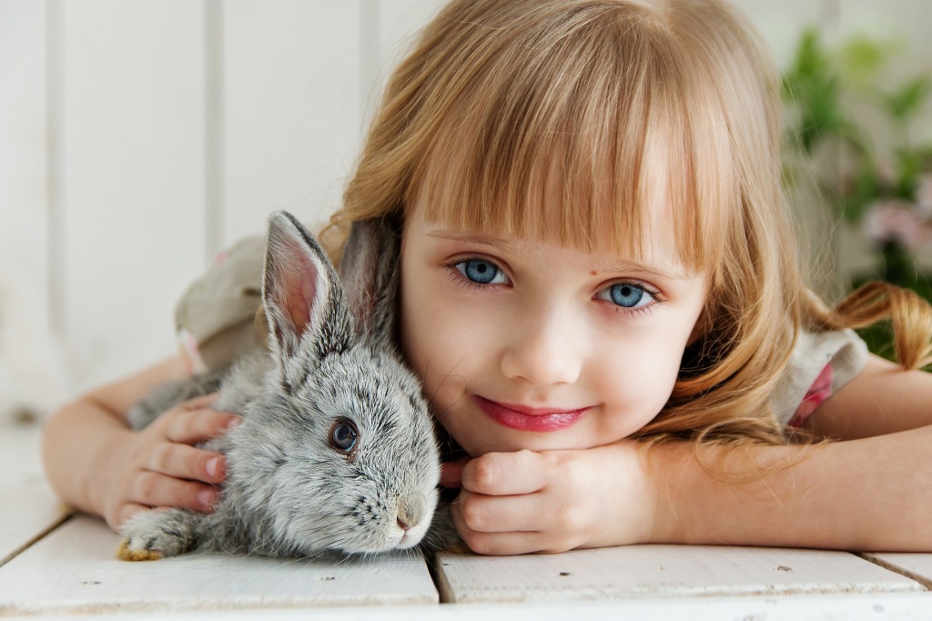 девочка и кролик