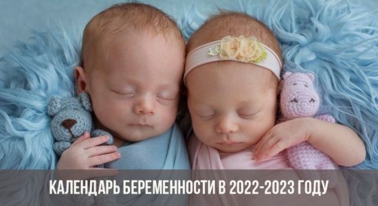 Календарь беременности в 2022-2023 году