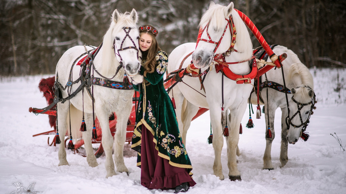 русская девушка и белые лошади