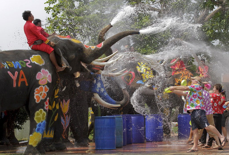 Тайский Новый год слоны