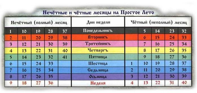 2023 год - какого животного по славянскому календарю | чей год