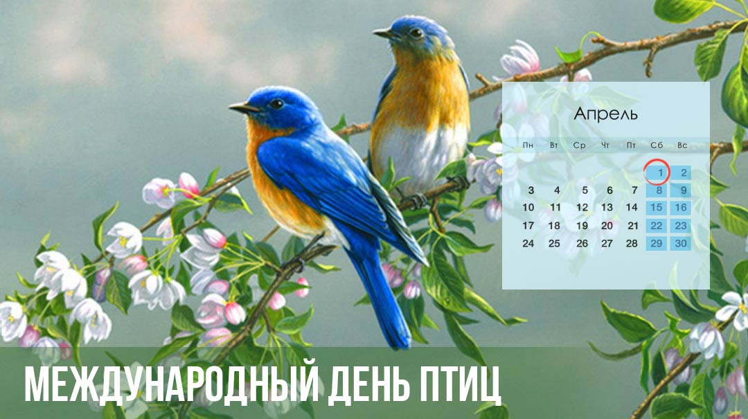 День птиц в 2023 году - дата, история праздника