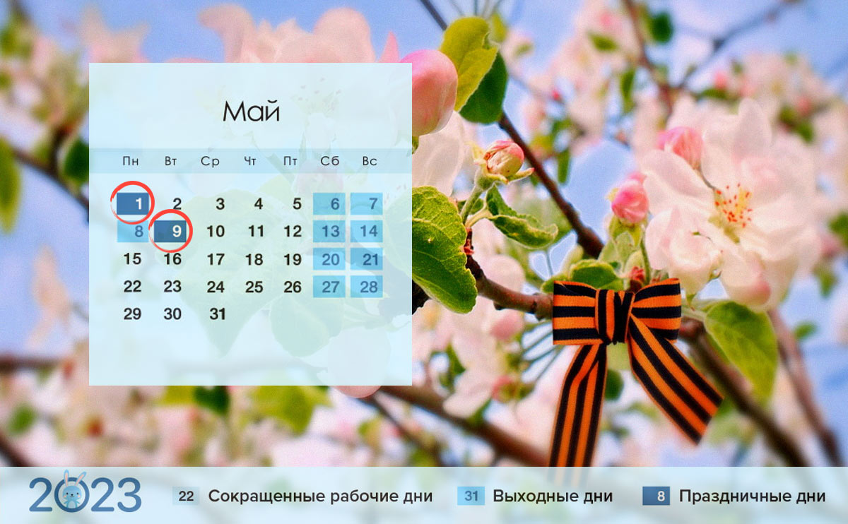 9 мая 2023 года: сколько дней отдыхаем на майские