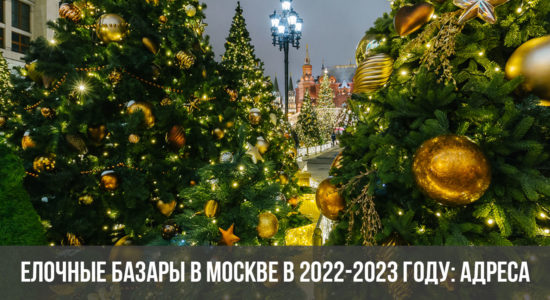 Елочные базары в Москве в 2022-2023 году: адреса