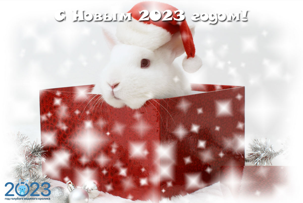 Картинки на Новый Год с кроликами