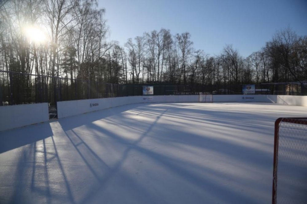 Хоккейная площадка в Сокольниках в 2022-2023 году - график работы, цена