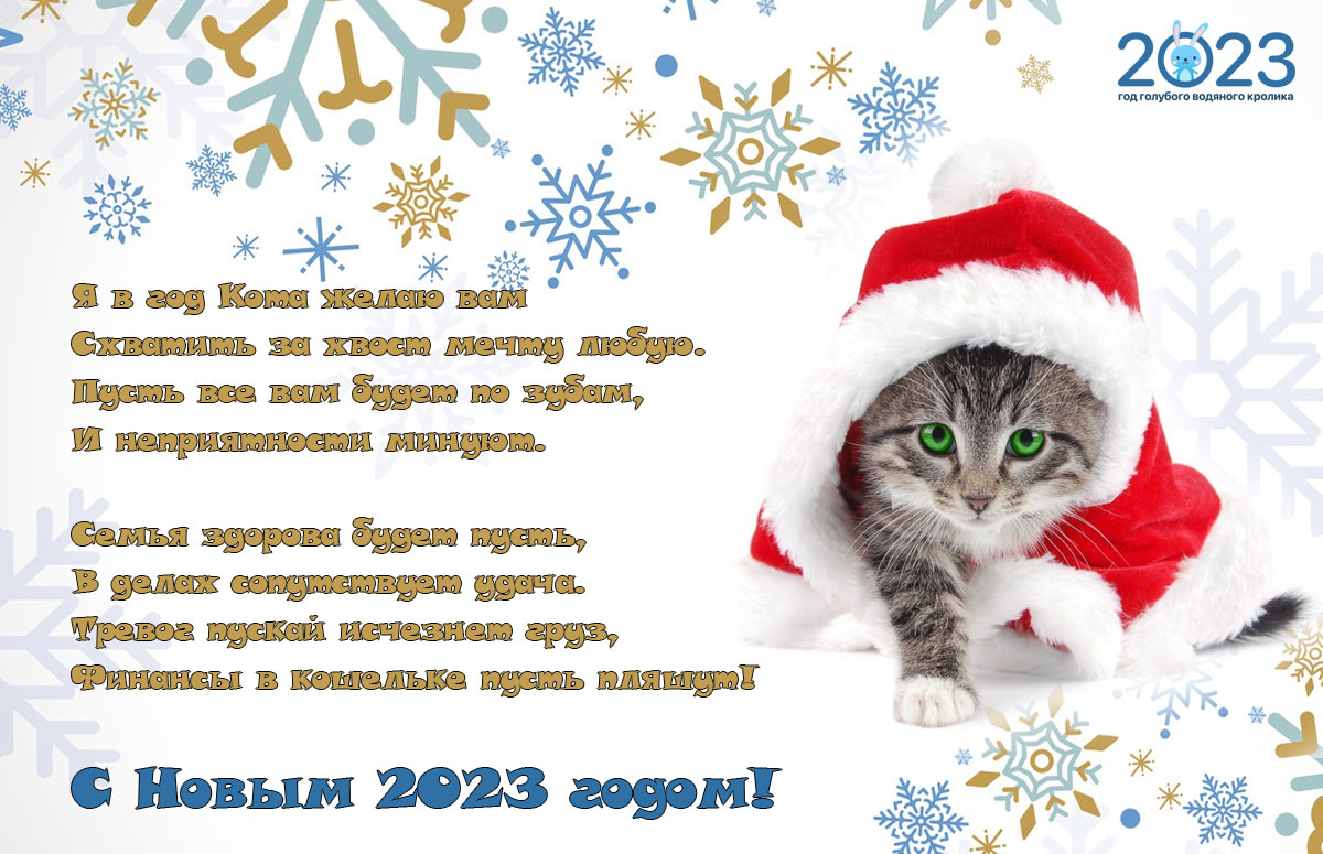 Поздравления, пожелания, открытки на Новый Год 2023 Кота
