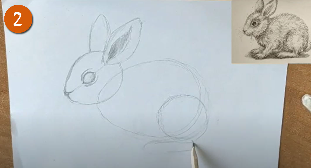 Как рисовать реалистичного Кролика (Зайчика) на Новый Год 2023 - шаг 2