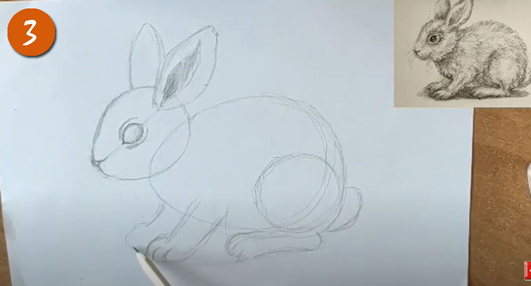 Как рисовать реалистичного Кролика (Зайчика) на Новый Год 2023 - шаг 3