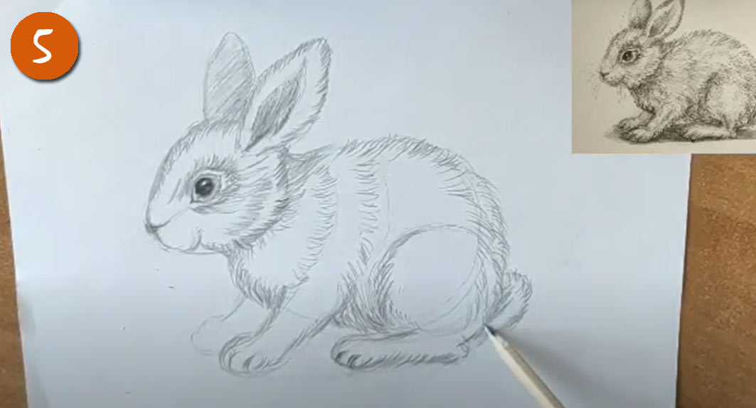 Как рисовать реалистичного Кролика (Зайчика) на Новый Год 2023 - шаг 5