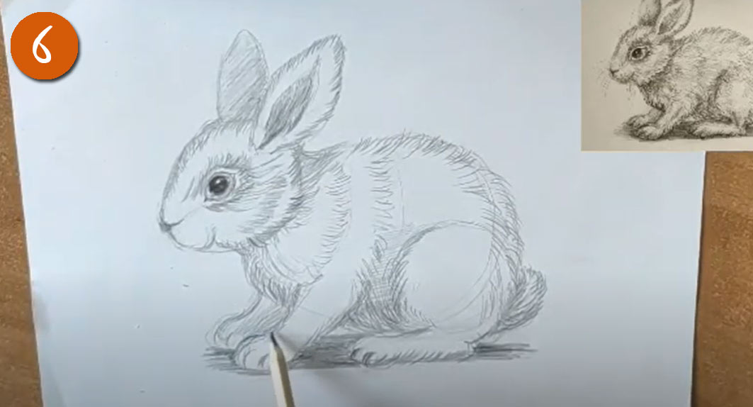 Как рисовать реалистичного Кролика (Зайчика) на Новый Год 2023 - шаг 6