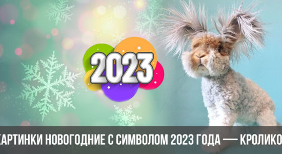 Картинки новогодние с символом 2023 года — Кроликом