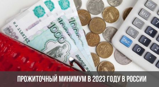 Прожиточный минимум в 2023 году в России