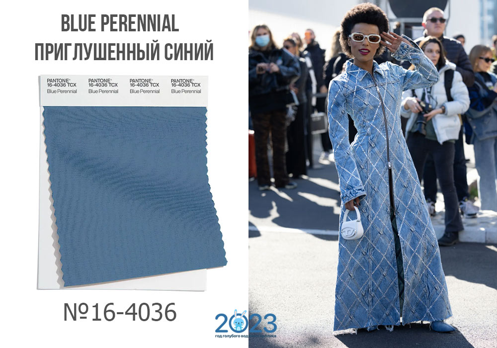 Blue Perennial - модный цвет 2023 года по версии Пантон